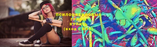 спиды Корсаков