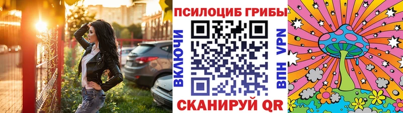 Купить закладки  Первомайск  Псилоцибиновые грибы прущие грибы 